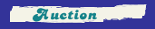 Auction
